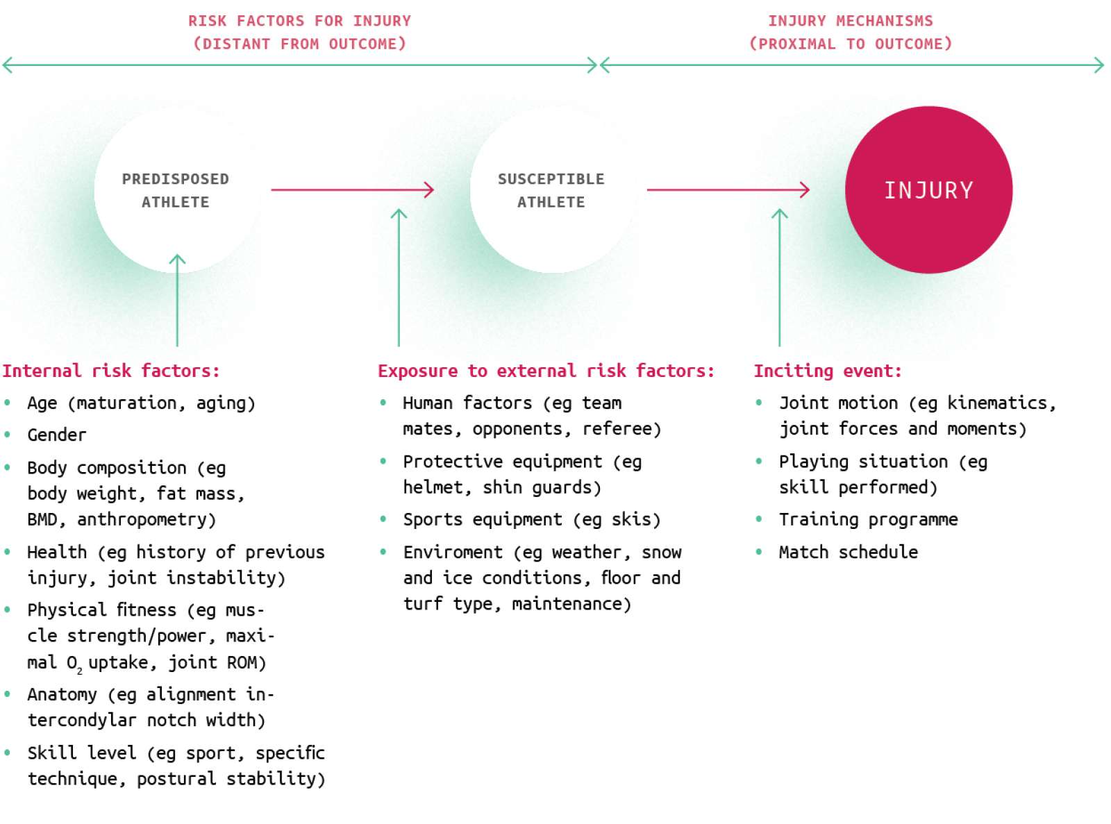 Figure 7 : Risk factors for injury (Meeuwisse, 1994)