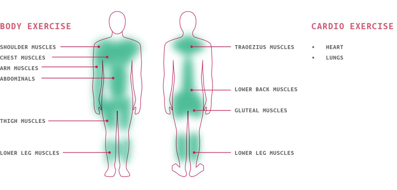 Figure 13: SUP - complete workout Adapted: http://www.serenapaddlesports.com/blog/standup-paddleboardinga-complete-workout