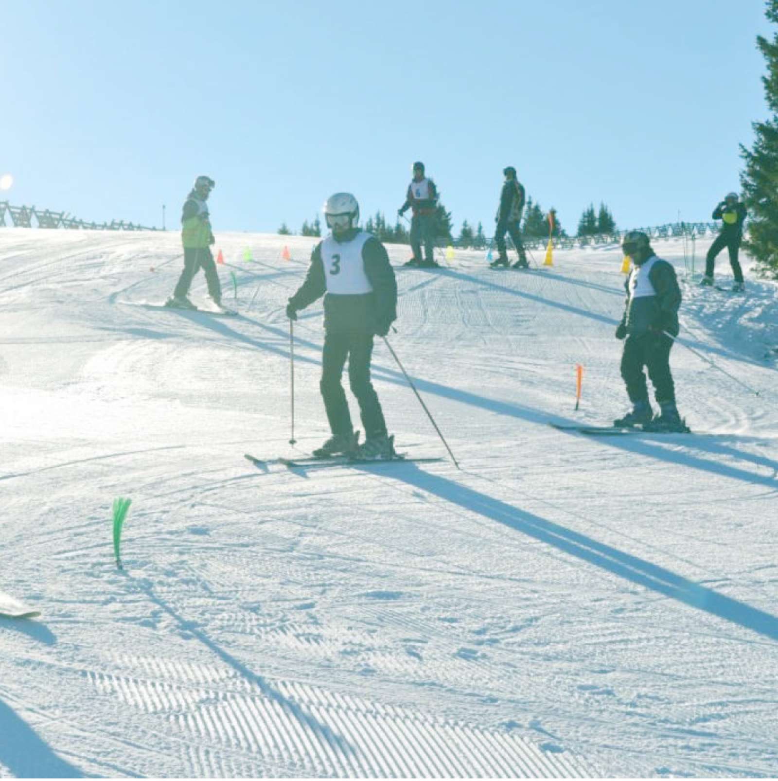 Photo: Jasna Vešligaj Damiš, 2018, Weinebene